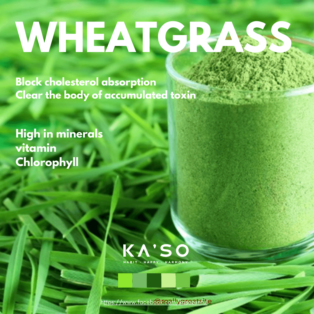 Wheatgrass Powder